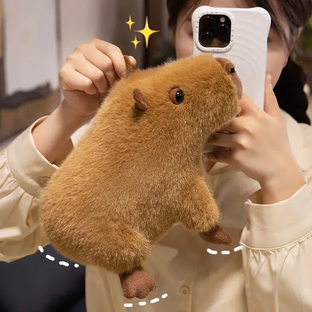 25cm36cm