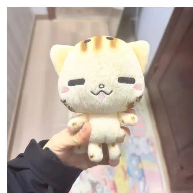 15cm