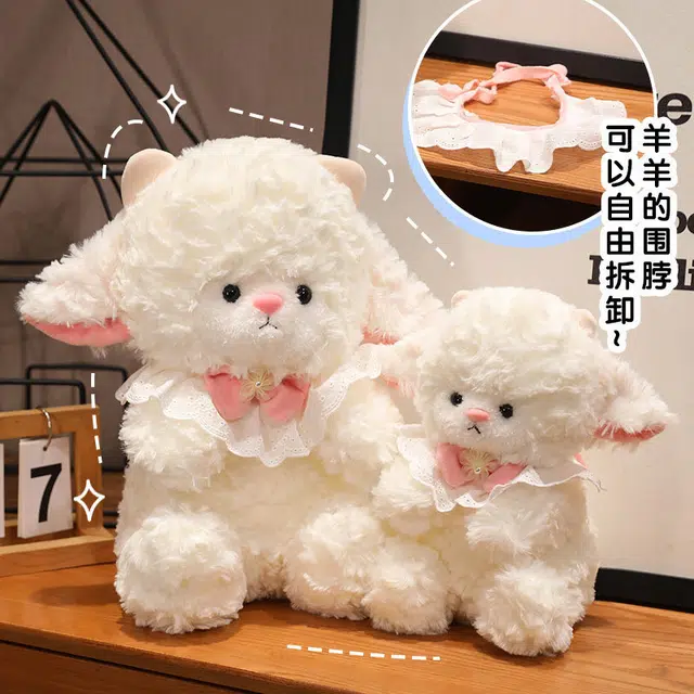 25cm40cm