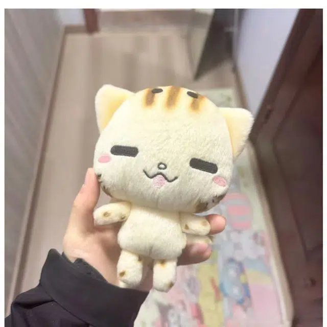 15cm