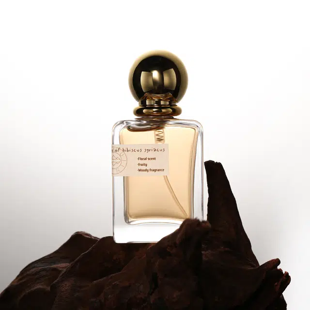 EDT