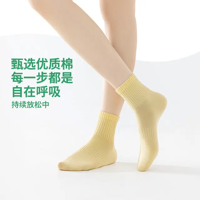 亲相见 白色薄款纯棉纯色简约短袜 女款