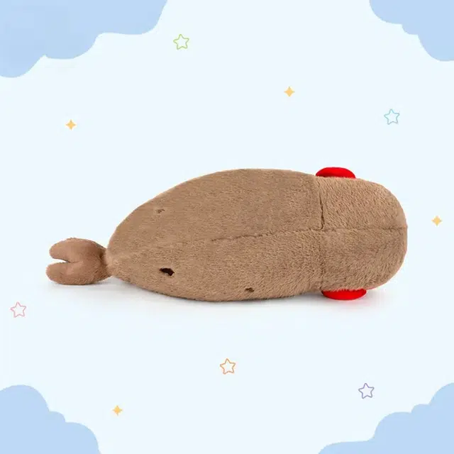 70cm