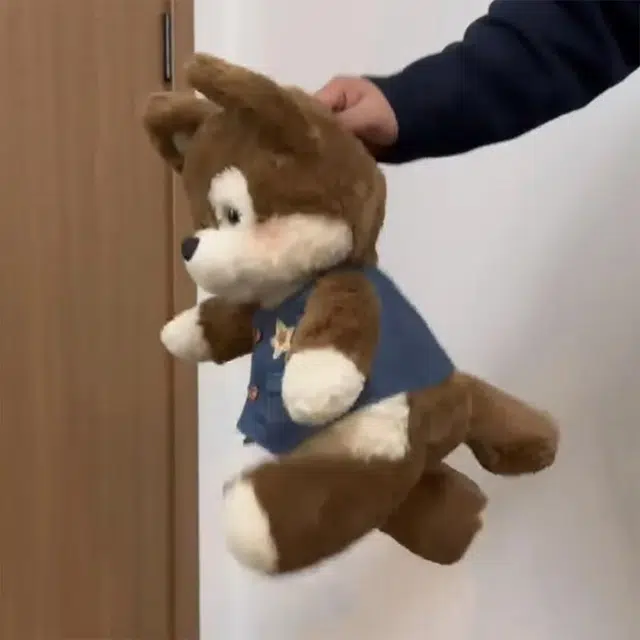 50cm