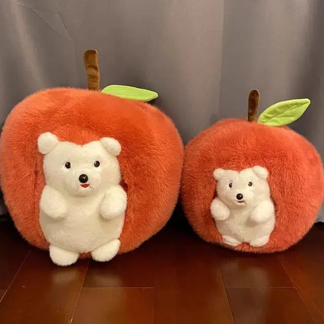 50cm66cm