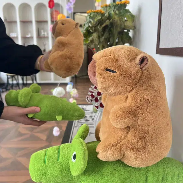 25cm35m45cm