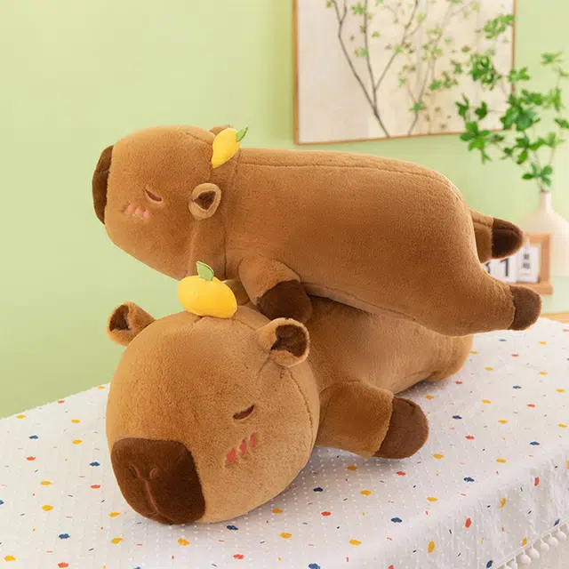 60cm80cm100cm