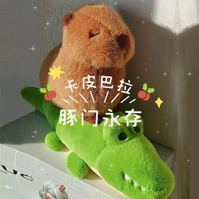 25cm35m45cm