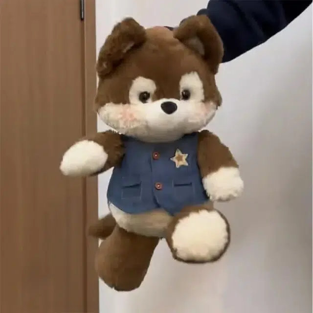 50cm