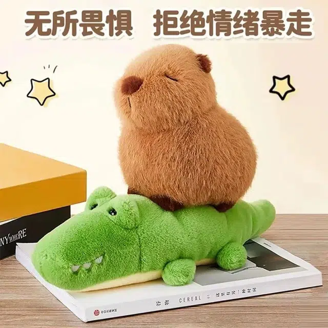 25cm35m45cm