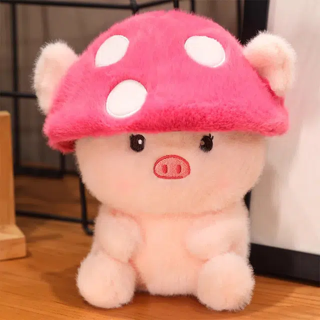 20cm