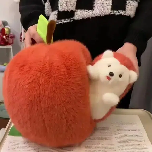50cm66cm