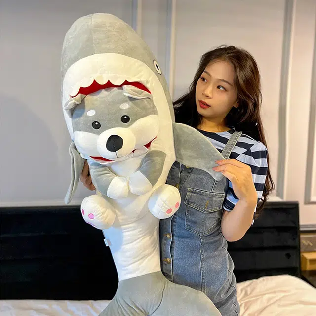 40cm70cm