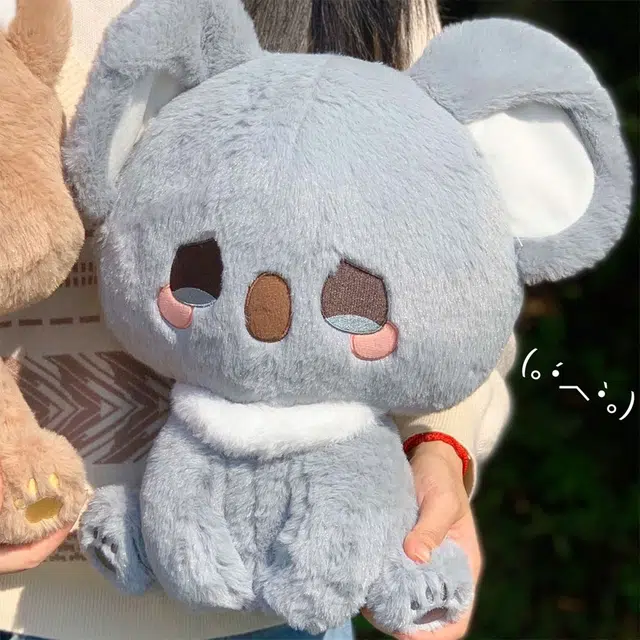 50cm