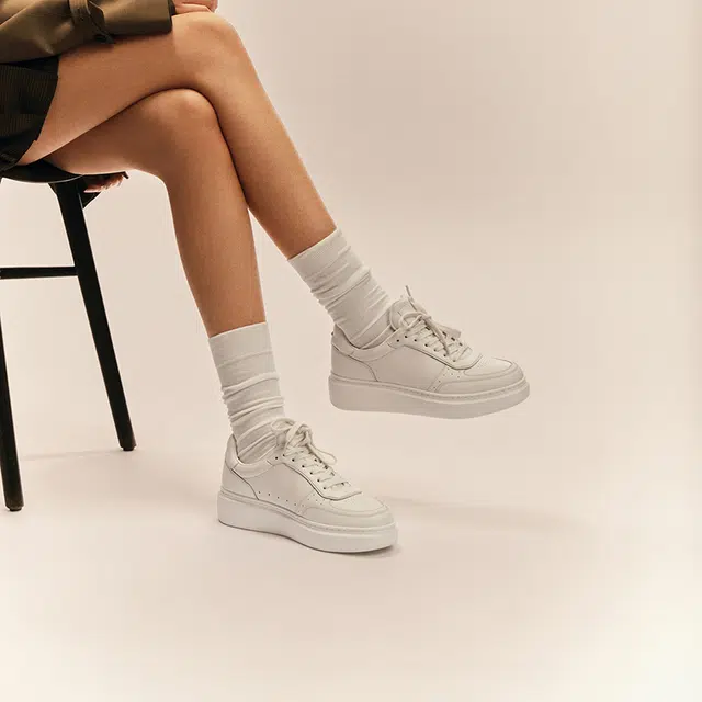 THOM WILLS trainer