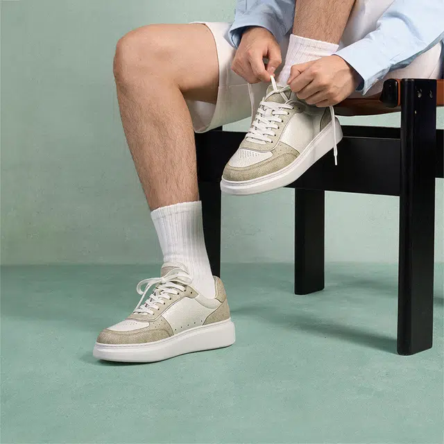 THOM WILLS Trainer