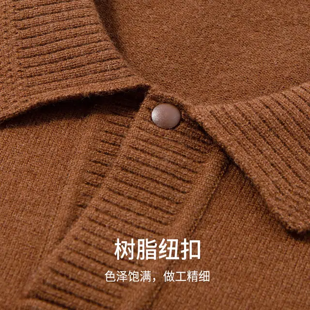 红豆 轻奢含羊毛翻领秋冬柔软贴身保暖针织衫商务休闲打底衫上衣毛衣 男款