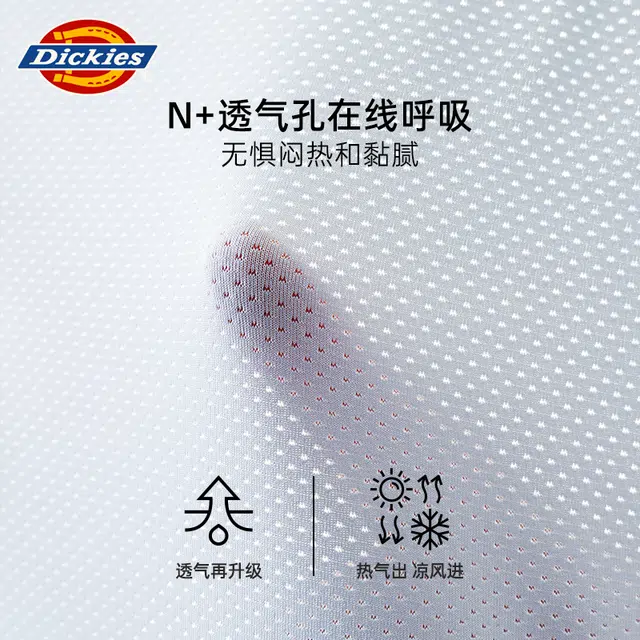 Dickies 3