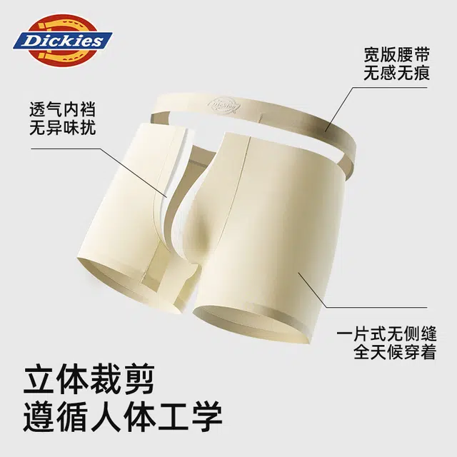 Dickies 3