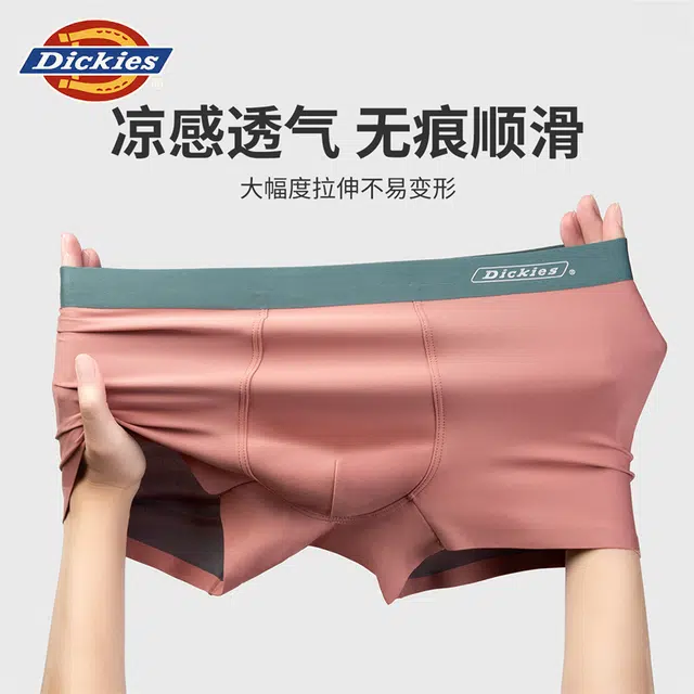 Dickies 3