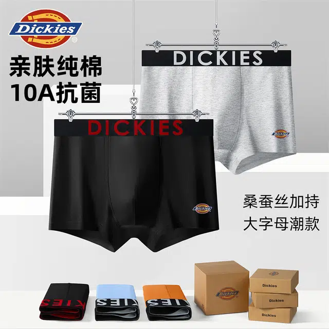 Dickies 10A95