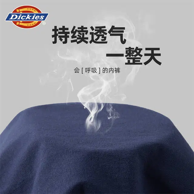 Dickies 10A