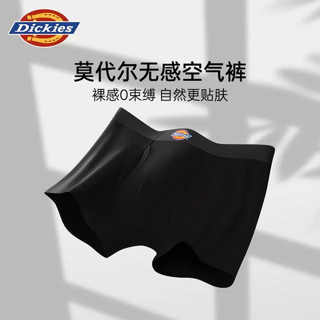 Dickies 3