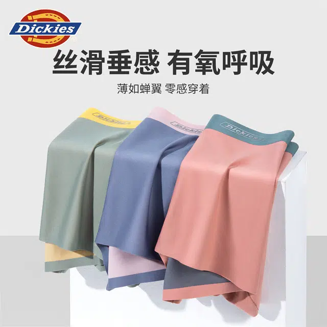 Dickies 3