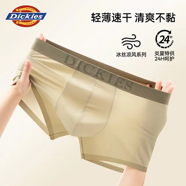 Dickies 3