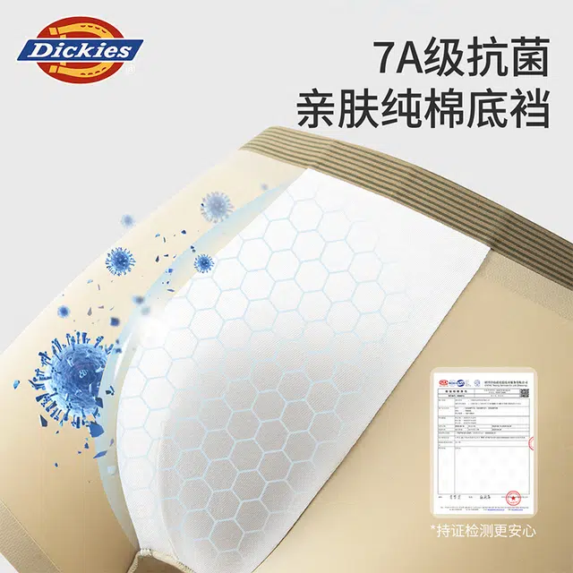 Dickies 3