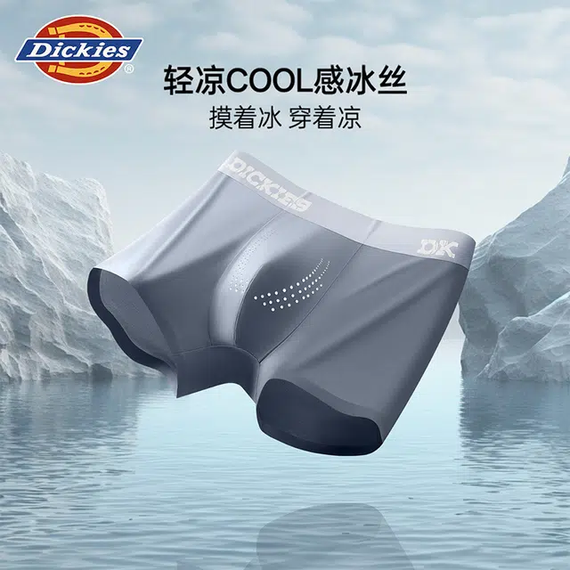 Dickies 100 3