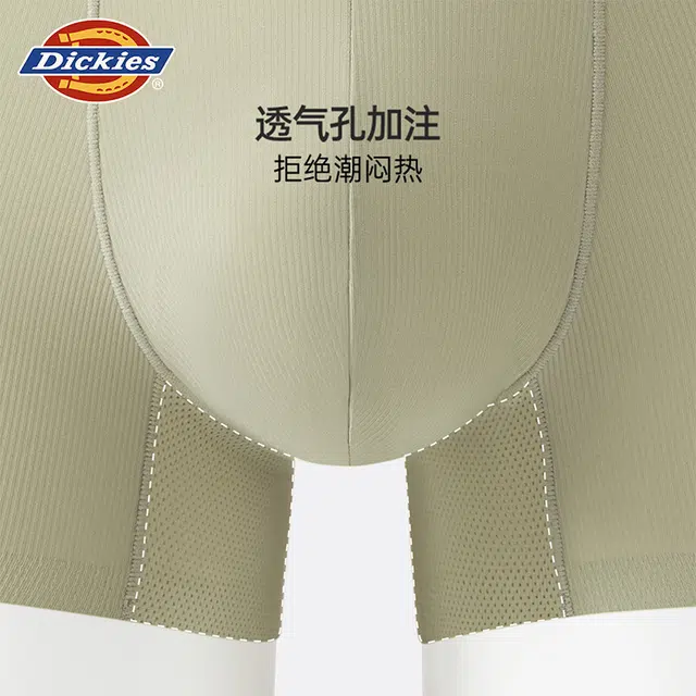 Dickies 3