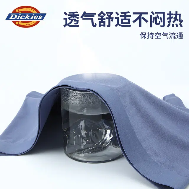Dickies 3