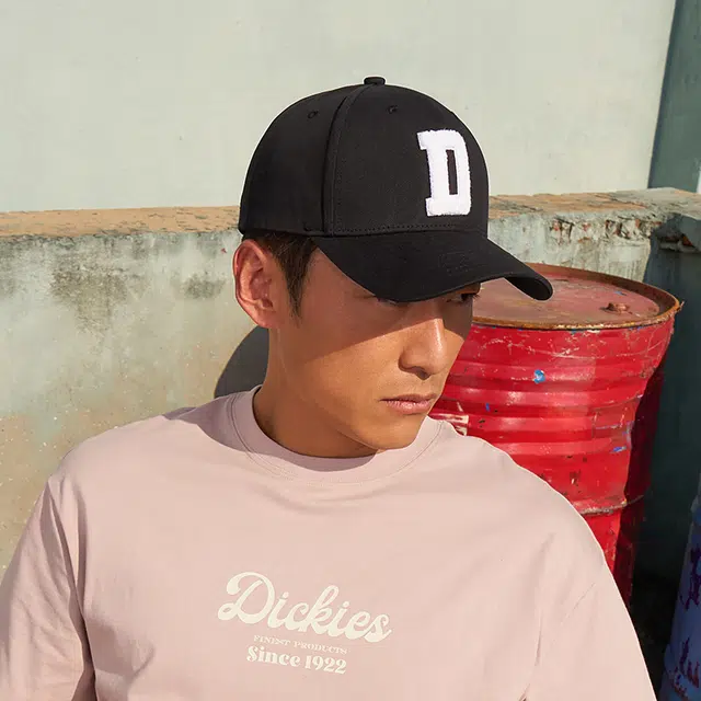 Dickies