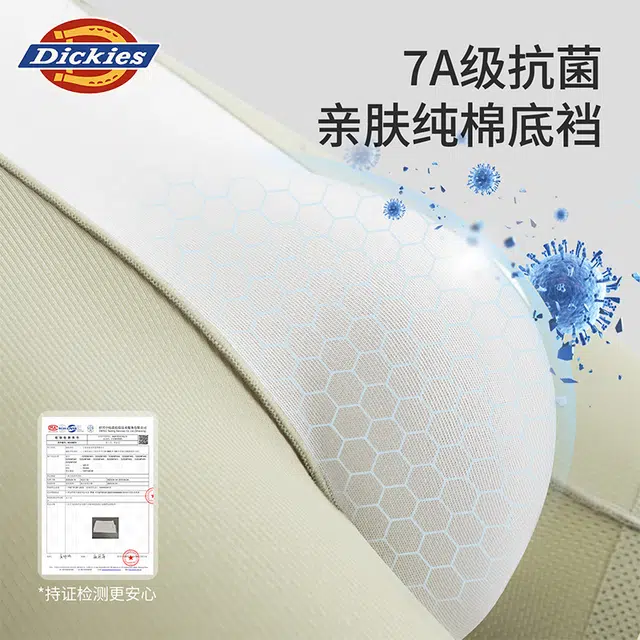 Dickies 3
