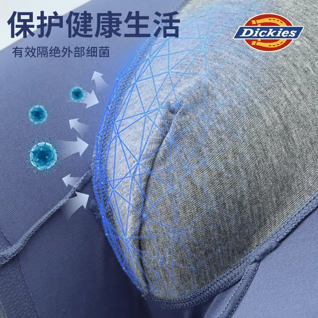 Dickies 3