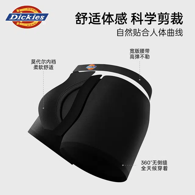 Dickies 3