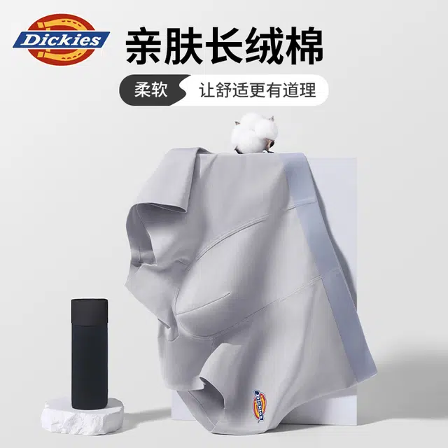 Dickies 3