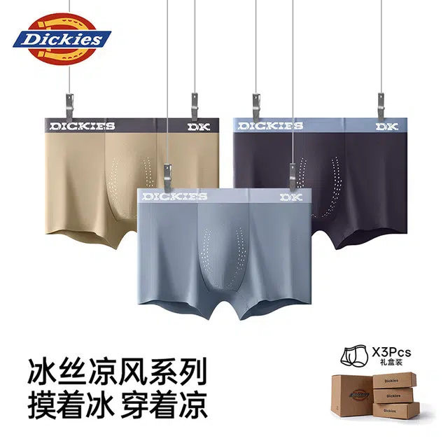 Dickies 100 3