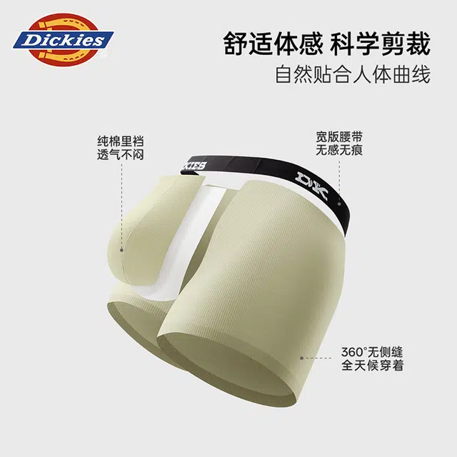 Dickies 3
