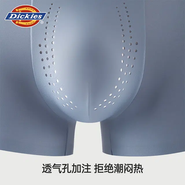 Dickies 100 3