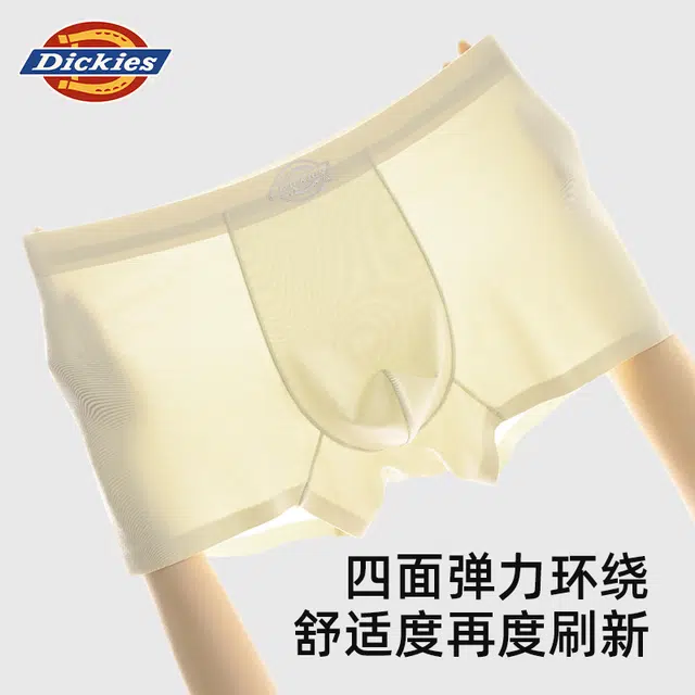 Dickies 3
