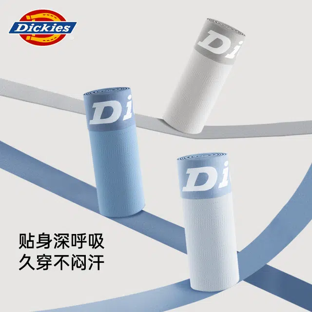 Dickies 3