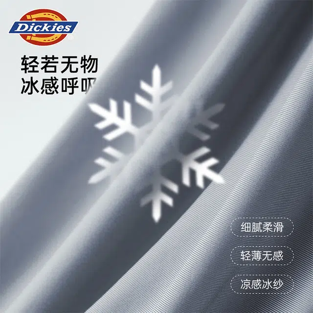 Dickies 100 3