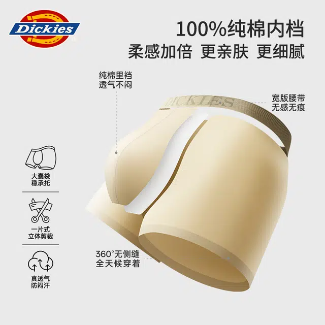 Dickies 3