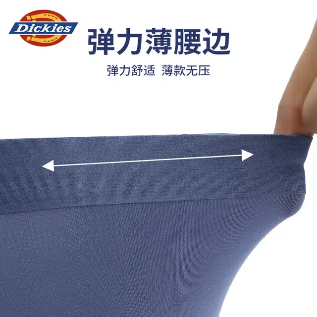Dickies 3