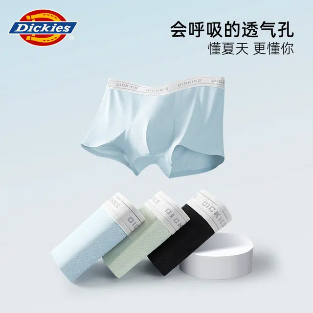 Dickies 3