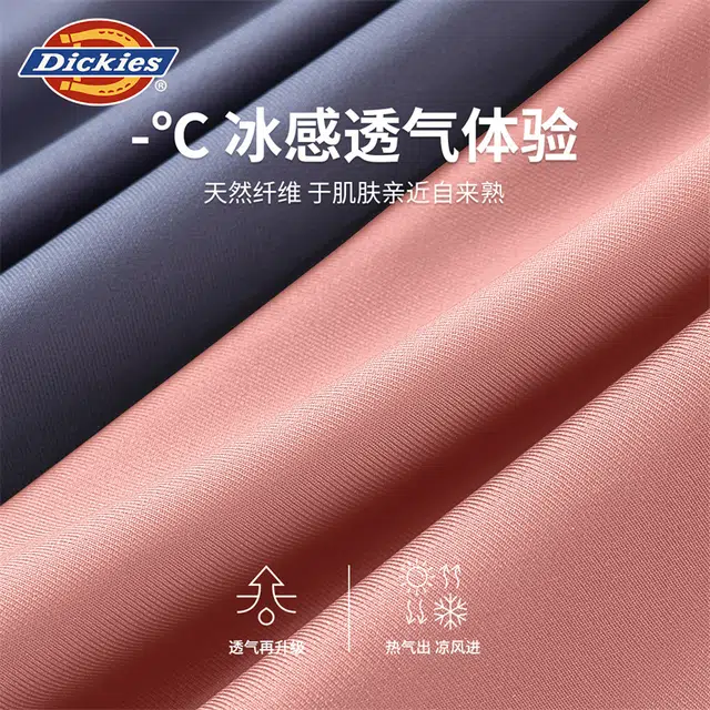 Dickies 3