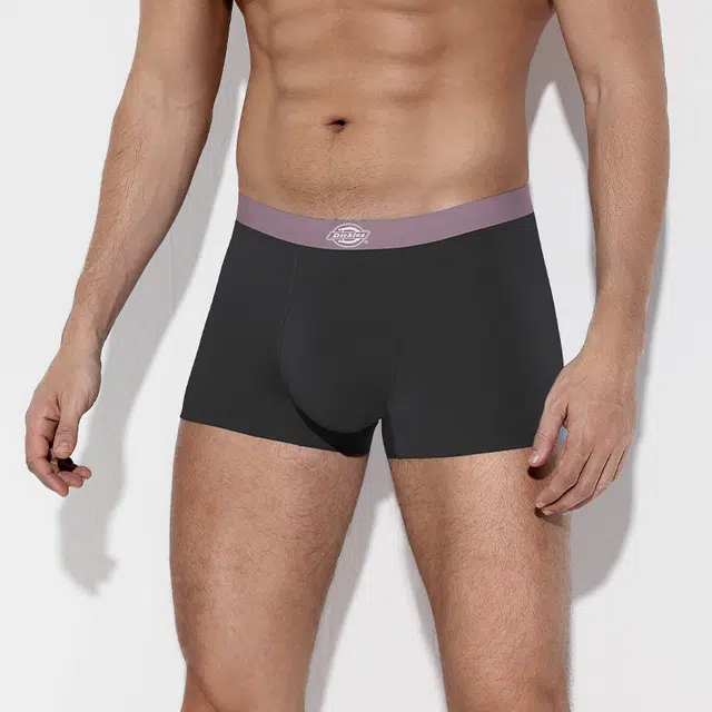 Dickies 3
