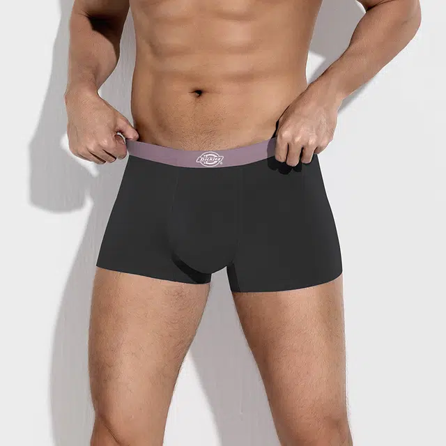 Dickies 3